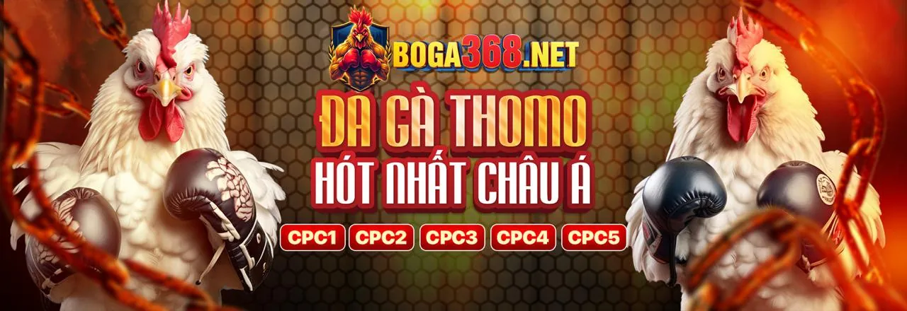 Khuyến mãi chào mừng thành viên mới Kuwin789